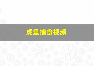 虎鱼捕食视频