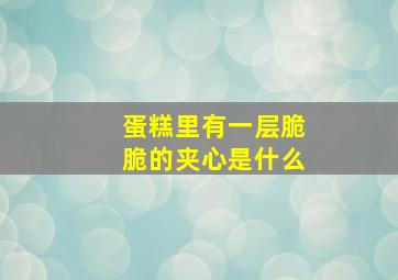 蛋糕里有一层脆脆的夹心是什么