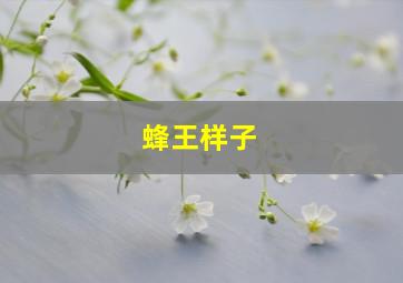 蜂王样子