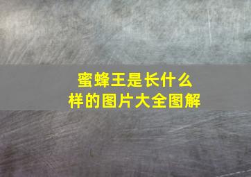 蜜蜂王是长什么样的图片大全图解