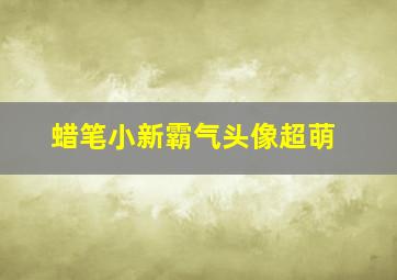 蜡笔小新霸气头像超萌