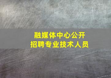 融媒体中心公开招聘专业技术人员