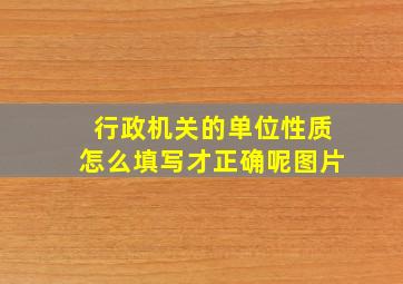 行政机关的单位性质怎么填写才正确呢图片