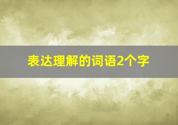 表达理解的词语2个字