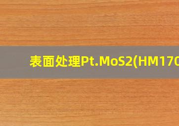 表面处理Pt.MoS2(HM1700)