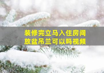 装修完立马入住房间放盆吊兰可以吗视频