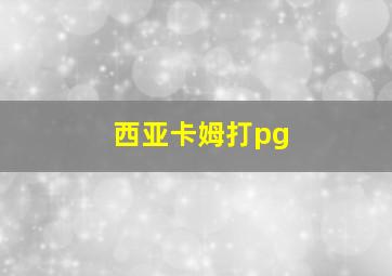 西亚卡姆打pg