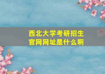 西北大学考研招生官网网址是什么啊