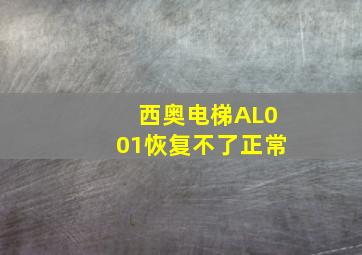 西奥电梯AL001恢复不了正常