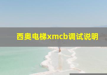 西奥电梯xmcb调试说明