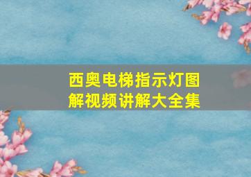 西奥电梯指示灯图解视频讲解大全集