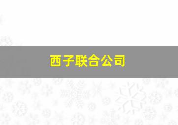 西子联合公司