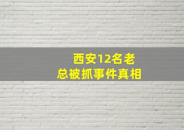 西安12名老总被抓事件真相