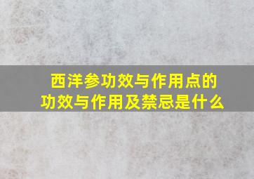 西洋参功效与作用点的功效与作用及禁忌是什么