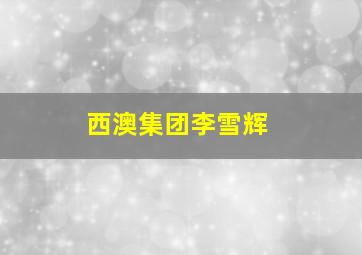 西澳集团李雪辉