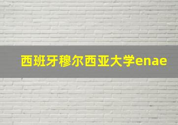 西班牙穆尔西亚大学enae