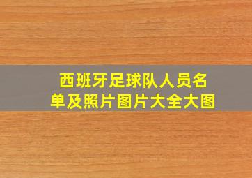 西班牙足球队人员名单及照片图片大全大图