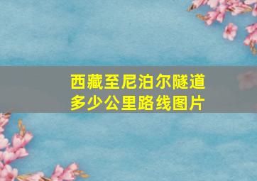 西藏至尼泊尔隧道多少公里路线图片