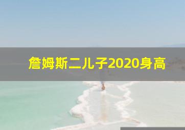 詹姆斯二儿子2020身高