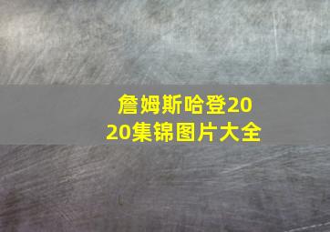 詹姆斯哈登2020集锦图片大全