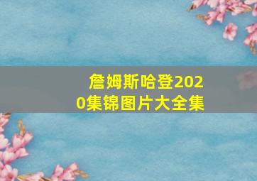 詹姆斯哈登2020集锦图片大全集