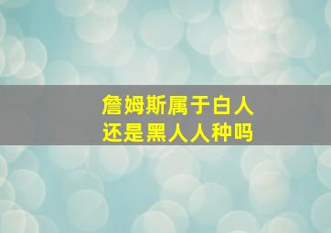 詹姆斯属于白人还是黑人人种吗