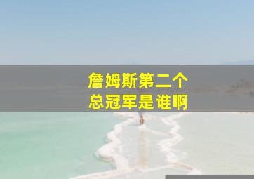 詹姆斯第二个总冠军是谁啊