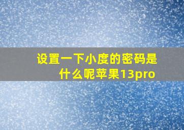 设置一下小度的密码是什么呢苹果13pro