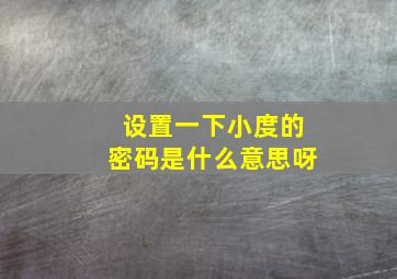 设置一下小度的密码是什么意思呀