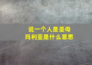 说一个人是圣母玛利亚是什么意思