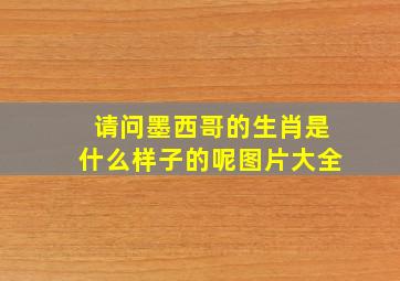 请问墨西哥的生肖是什么样子的呢图片大全