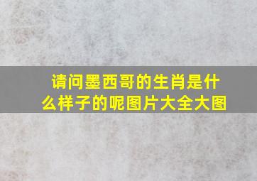 请问墨西哥的生肖是什么样子的呢图片大全大图