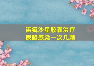 诺氟沙星胶囊治疗尿路感染一次几颗