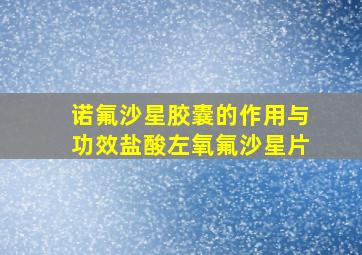 诺氟沙星胶囊的作用与功效盐酸左氧氟沙星片