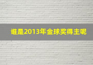 谁是2013年金球奖得主呢