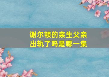 谢尔顿的亲生父亲出轨了吗是哪一集