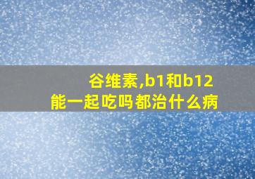 谷维素,b1和b12能一起吃吗都治什么病