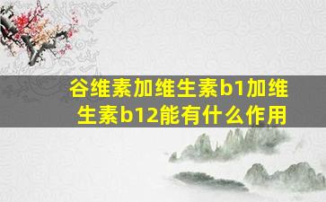 谷维素加维生素b1加维生素b12能有什么作用