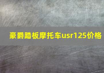 豪爵踏板摩托车usr125价格