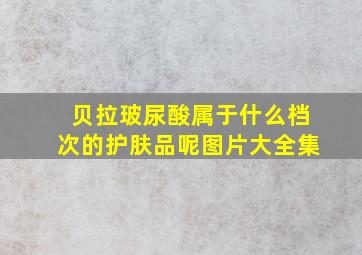 贝拉玻尿酸属于什么档次的护肤品呢图片大全集