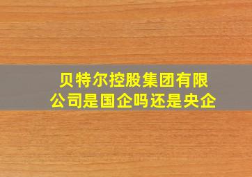 贝特尔控股集团有限公司是国企吗还是央企