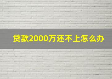 贷款2000万还不上怎么办