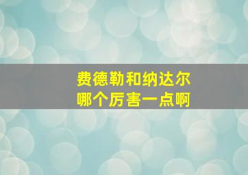 费德勒和纳达尔哪个厉害一点啊