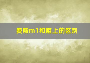 费斯m1和陌上的区别