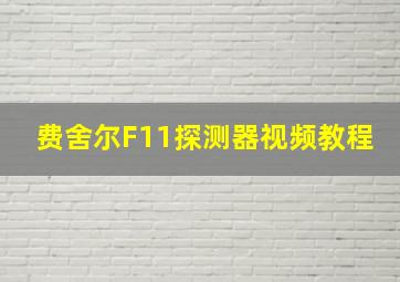 费舍尔F11探测器视频教程