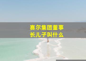 赛尔集团董事长儿子叫什么