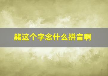 赭这个字念什么拼音啊