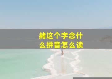 赭这个字念什么拼音怎么读