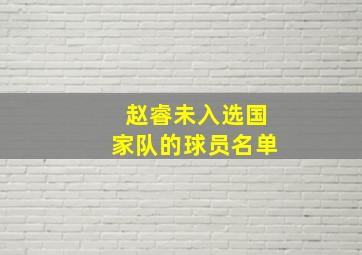 赵睿未入选国家队的球员名单