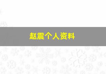 赵震个人资料